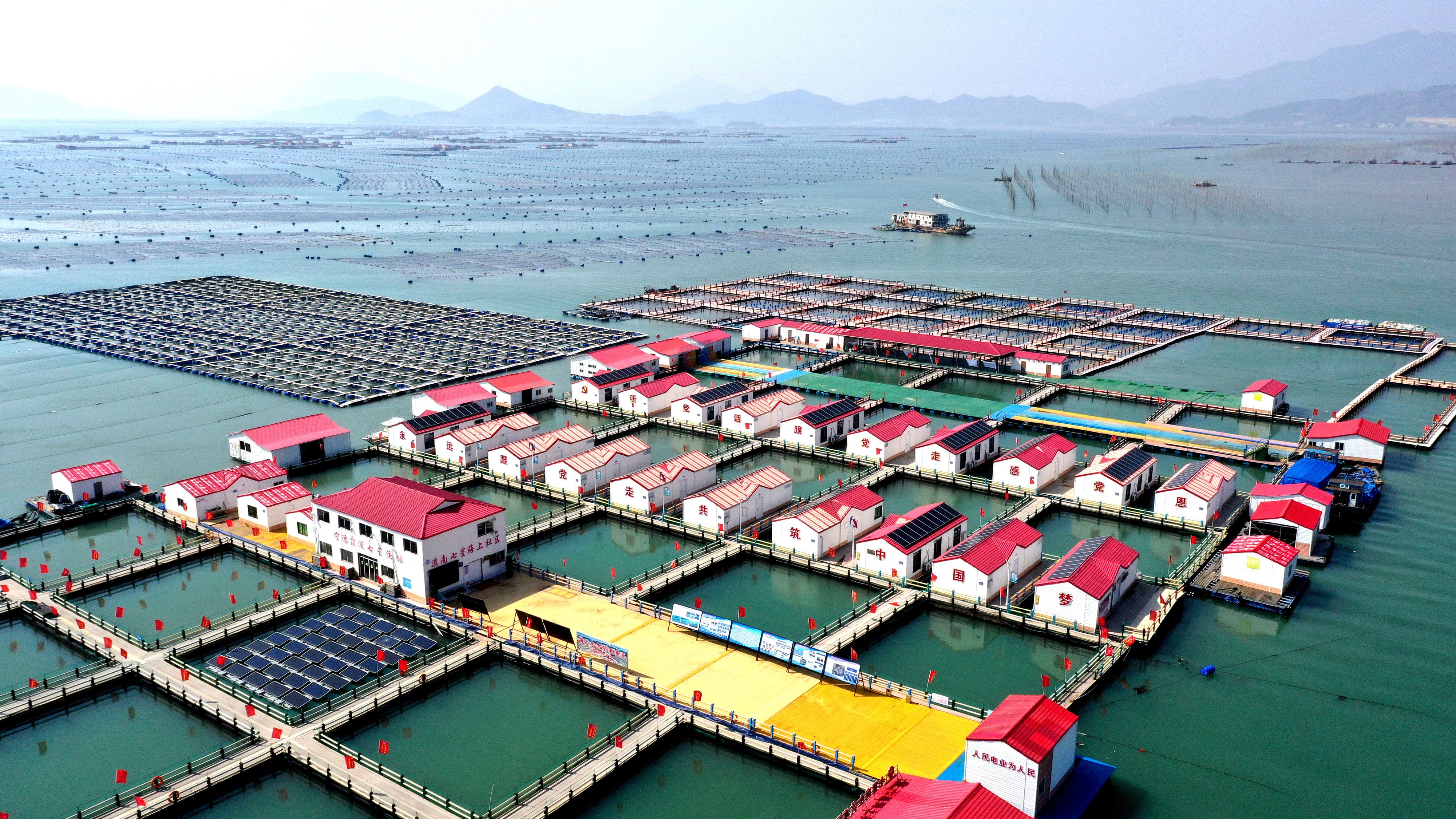 2024年3月20日，福建省寧德市，霞浦縣溪南鎮(zhèn)七星村漁排養(yǎng)殖示范區(qū)，漁民駕駛養(yǎng)殖船進(jìn)行海參養(yǎng)殖作業(yè)。