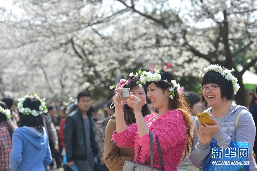 #（社會(huì)）（3）南國花開艷 賞櫻正當(dāng)時(shí)